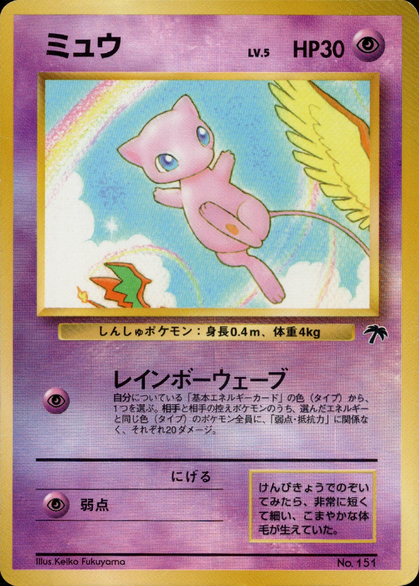 サザンアイランド / Southern Islands