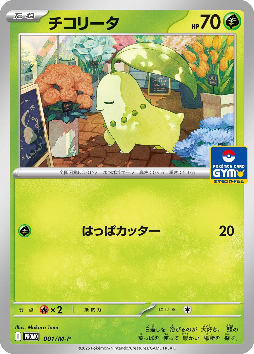 チコリータ L1 アンリミ LEGEND Unlimited プロモ チコリータ L1 アンリミ LEGEND Unlimited プロモ Chikorita - Neo