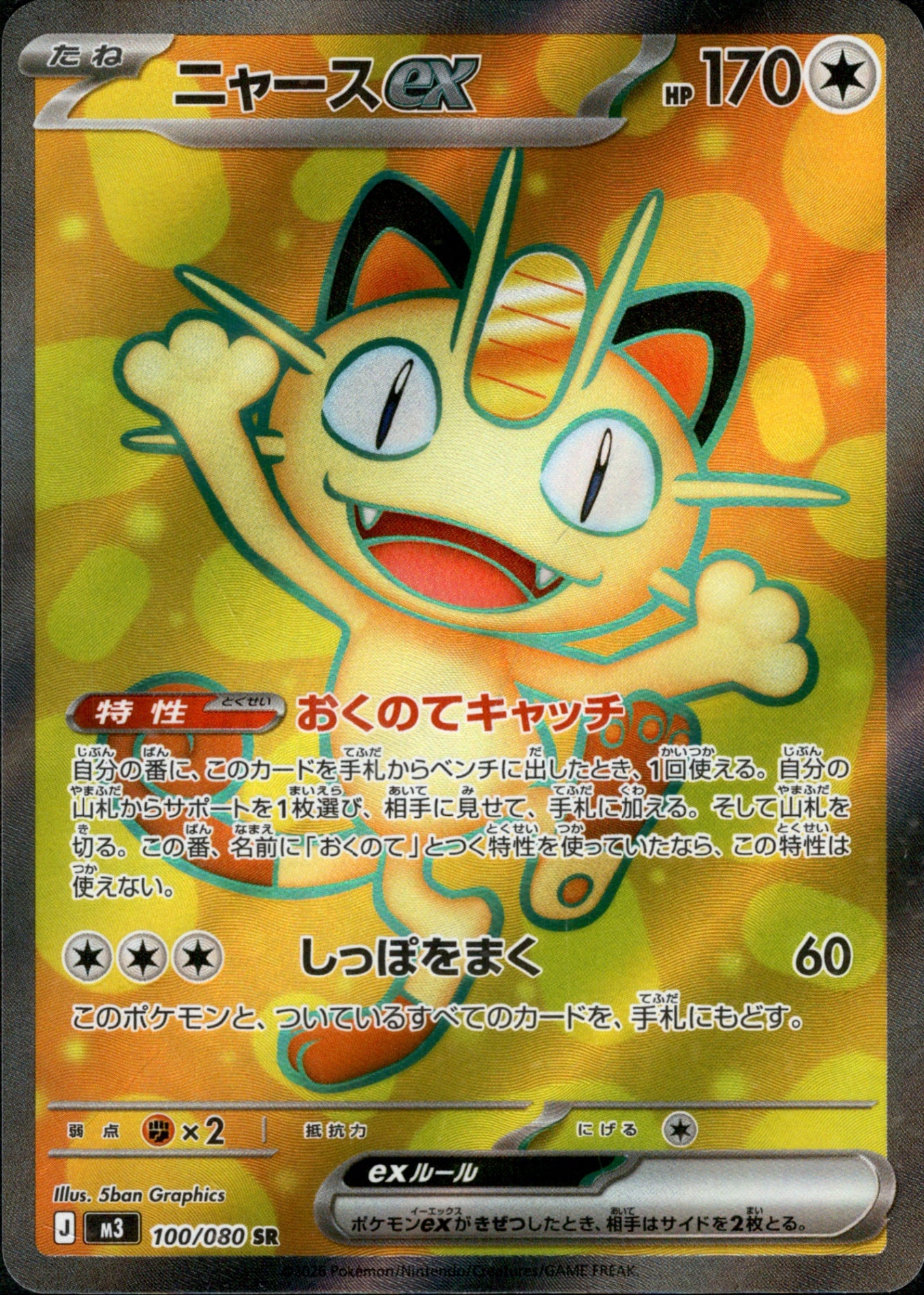 ニャースex SR M3 100/080