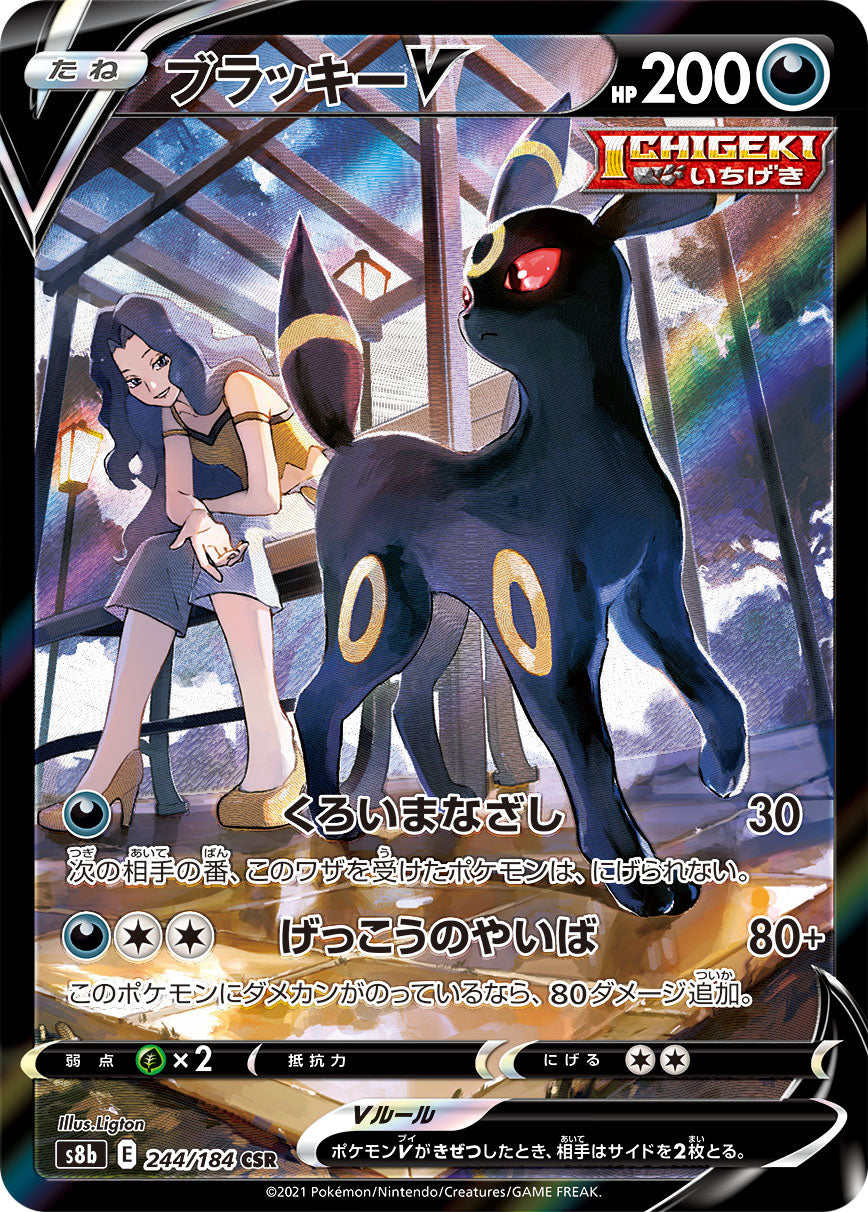 PSA10)ブラッキーV CSR S8b 244/184