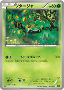 ツタージャ EBB 002/093