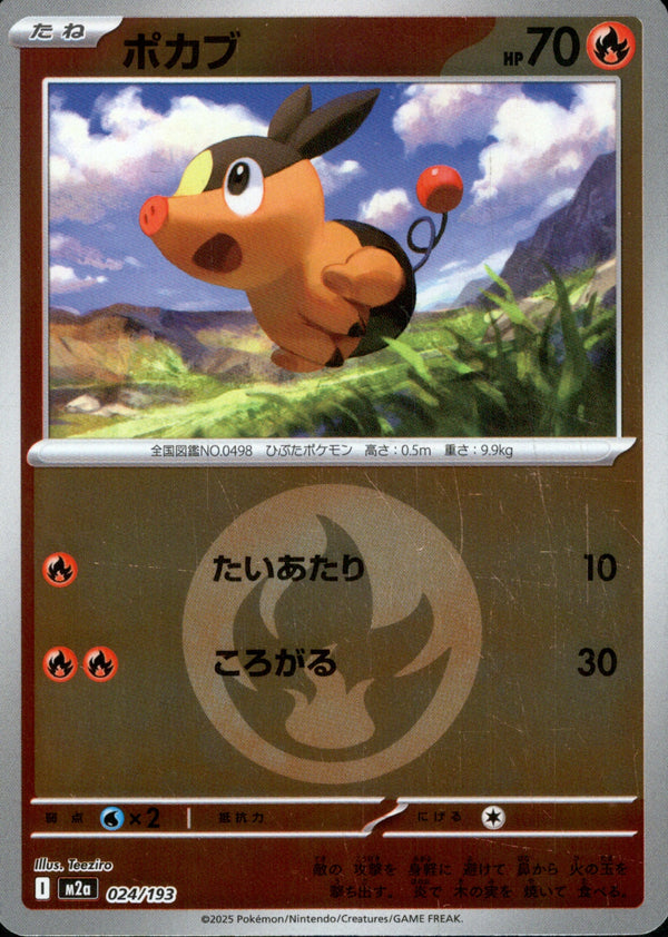 タイプ)ポカブ ミラー M2a 024/193