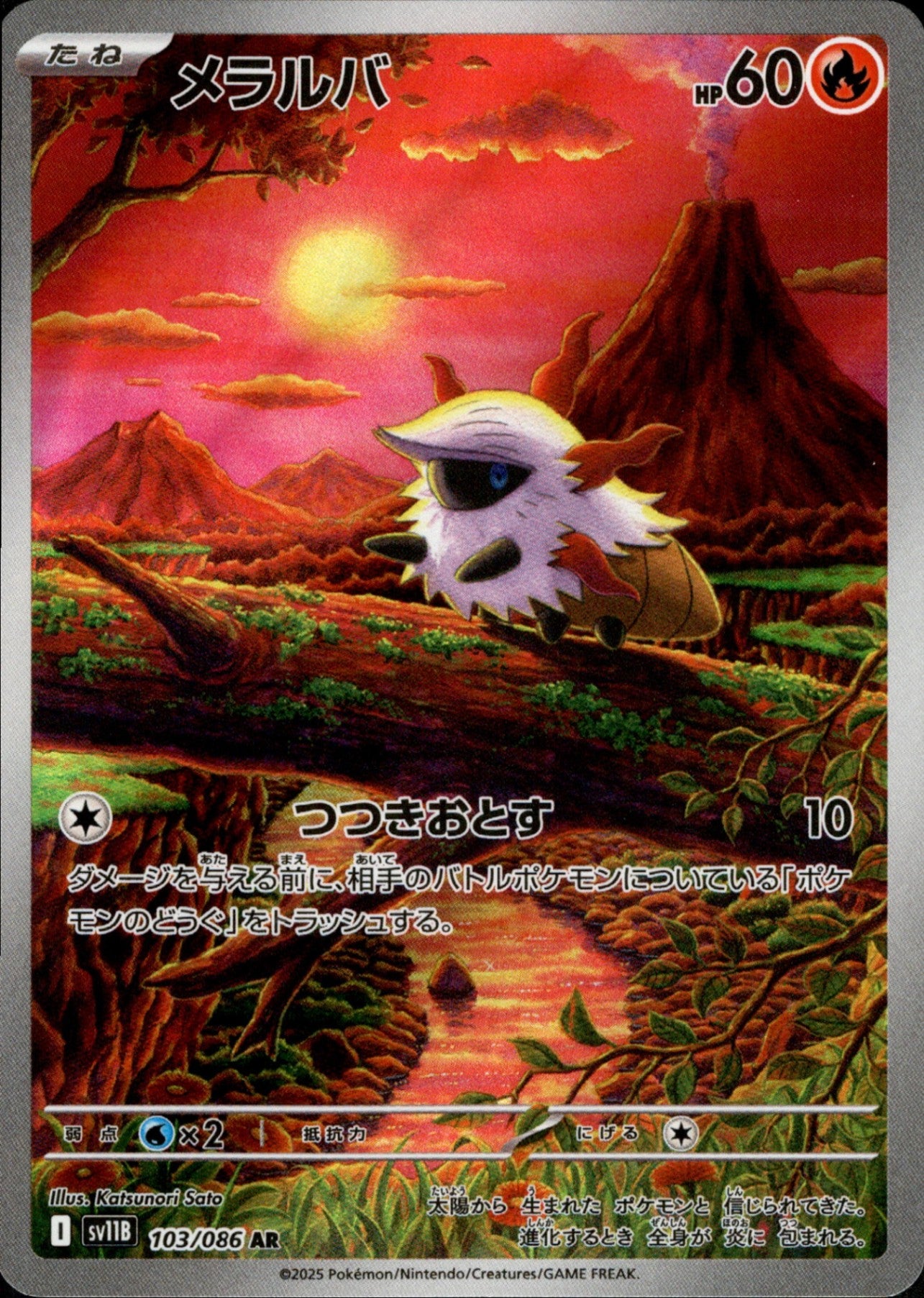 人気デザイナー SV11B / ブラックボルト – 14ページ目 ポケモンカードゲーム