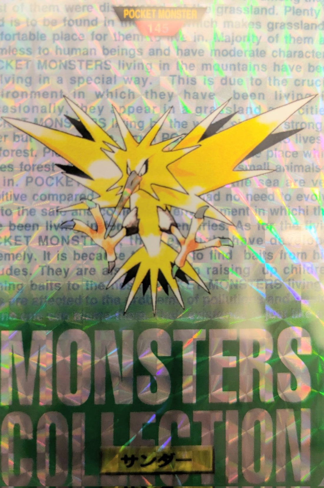 PSA10 サンダー　カードダス PSA10 サンダー カードダス 【公式通販】