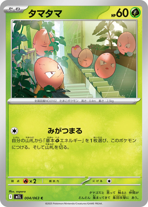 タマタマ C M1L 004/063