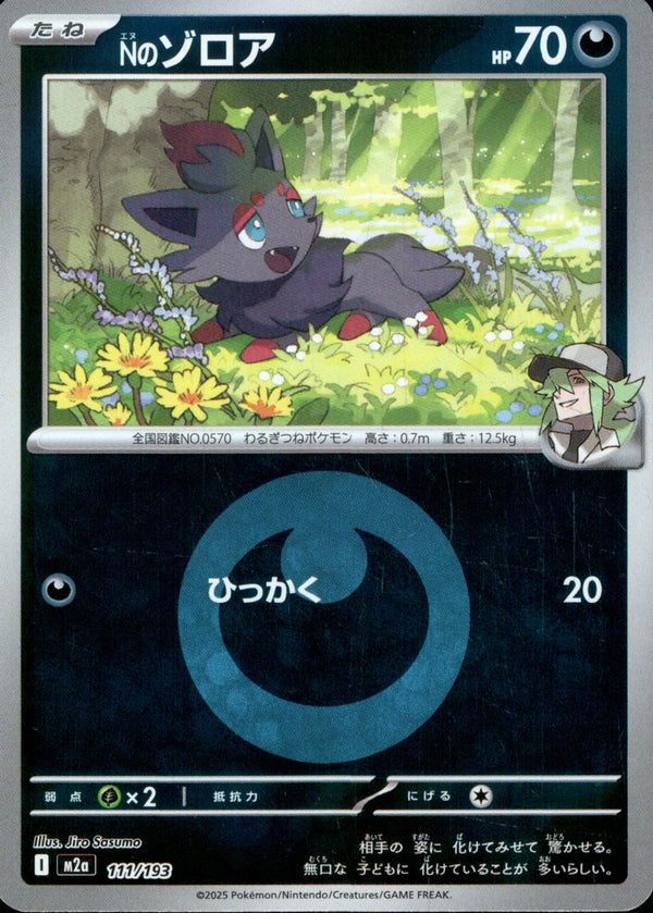 タイプ)Nのゾロア ミラー M2a 111/193