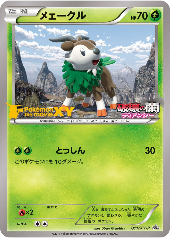 XY / PROMO