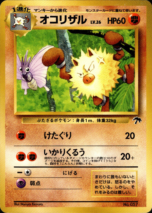 サザンアイランド / Southern Islands