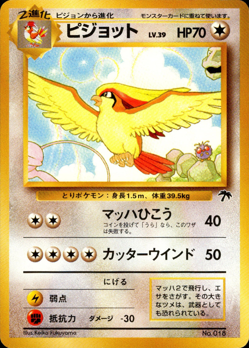 サザンアイランド / Southern Islands