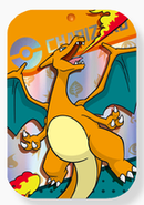 ポケモンカードゲーム ダメカンケース 海外版 リザードン ランダムギフト