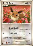 イーブイ LV.14 ● DP4 DPBP
