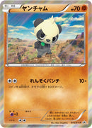 ヤンチャム PROMO 015/XY-P