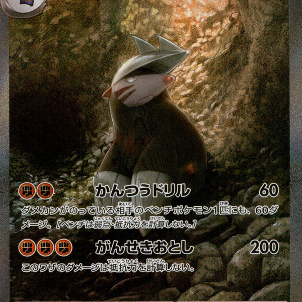 ポケカ ゼクロムex SAR・ドリュウズex SAR ドリュウズex SAR SV11B 171/086
