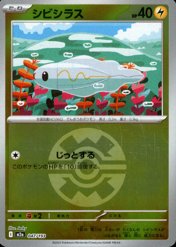 ボール)シビシラス ミラー M2a 047/193