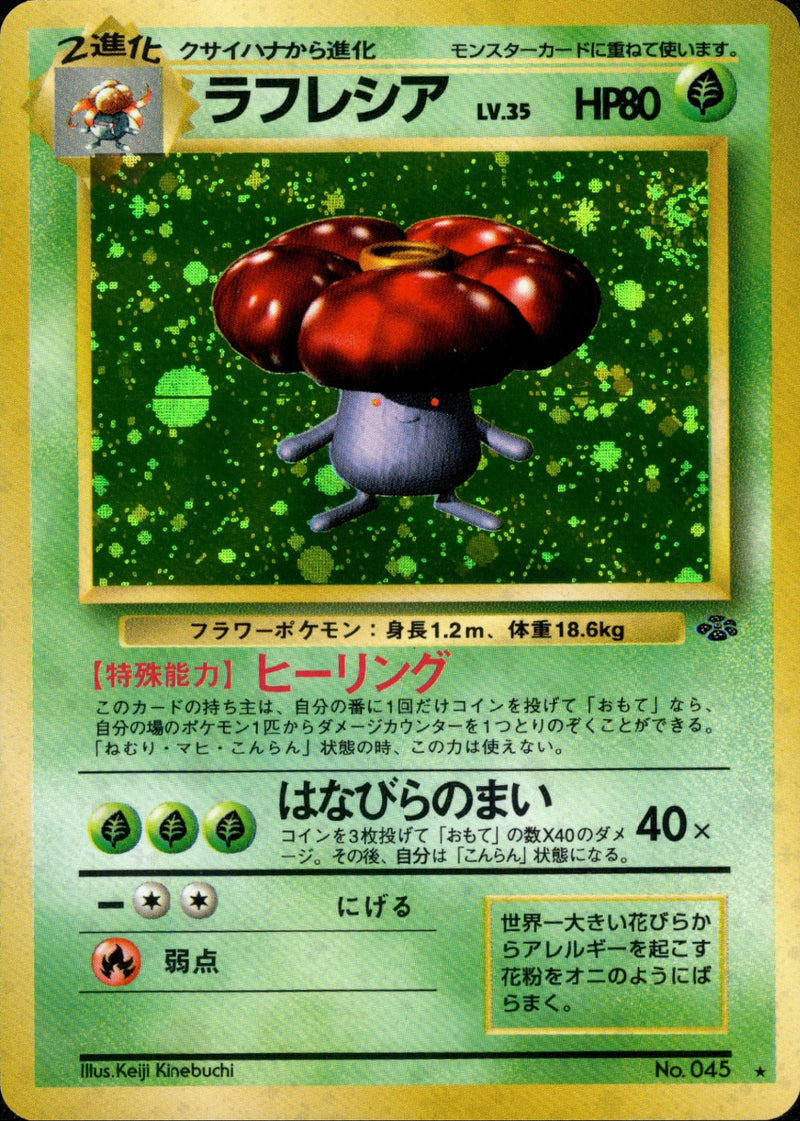【psa8】カビゴン　旧裏　キラ ★ 第2弾拡張パック ポケモンジャングル psa8】カビゴン 旧裏 キラ ☆ 第2弾拡張パック ポケモン