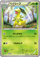 ベイリーフ C XY9 002/080