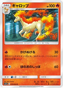 ギャロップ C SM11a 010/064