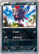 ゾロア C XY1 037/060