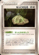ねっこの化石 PCG5 079/086 【アンリミ】