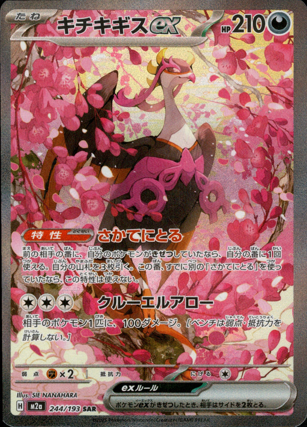 キチキギスex SAR M2a 244/193