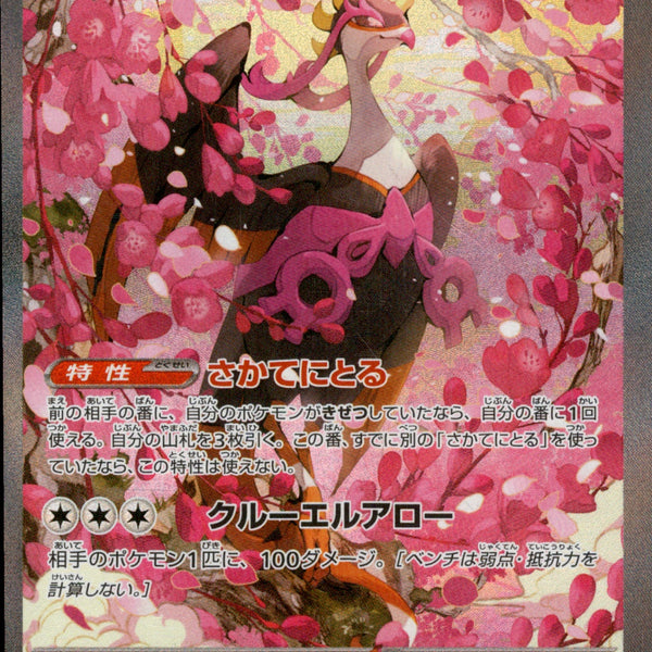 キチキギスex SAR M2a 244/193【K】