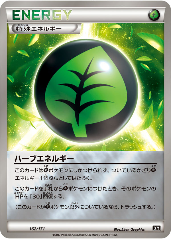 【状態B】ハーブエネルギー ミラー XY 162/171