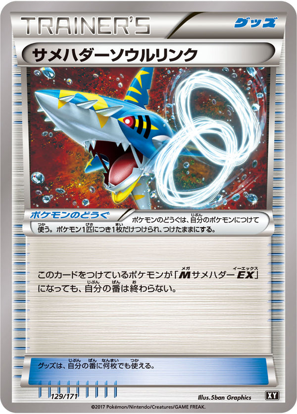 【状態B】サメハダーソウルリンク  XY 129/171