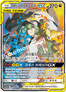 韓国版)レシラム&ゼクロムGX SR(SA) SM11b 064/049