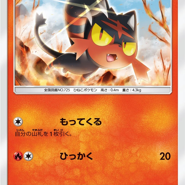 SMP1 / イワンコ全力デッキ