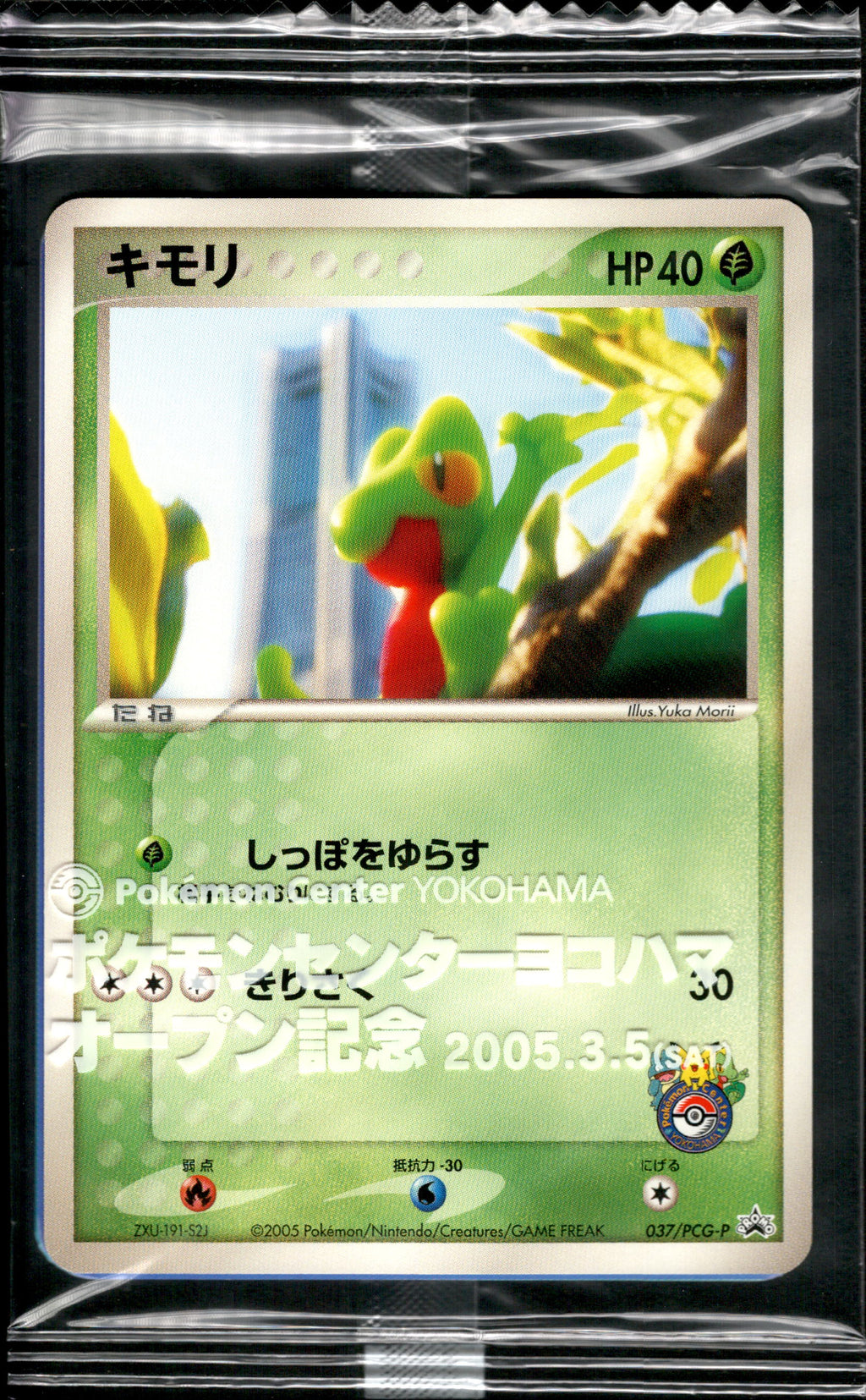 キモリ(未開封)【P】{037/PCG-P}