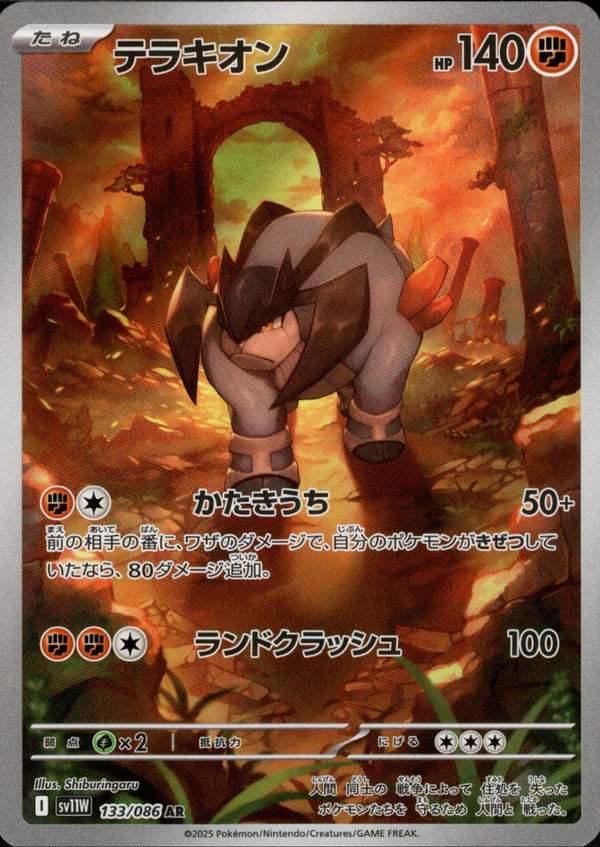 【状態B】テラキオン AR SV11W 133/086
