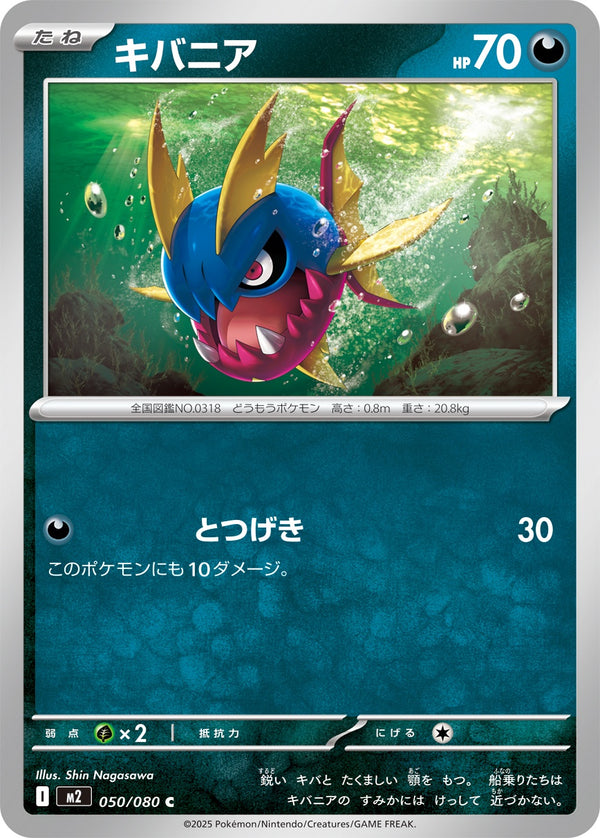 キバニア C M2 050/080
