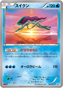 スイクン PROMO 205/XY-P
