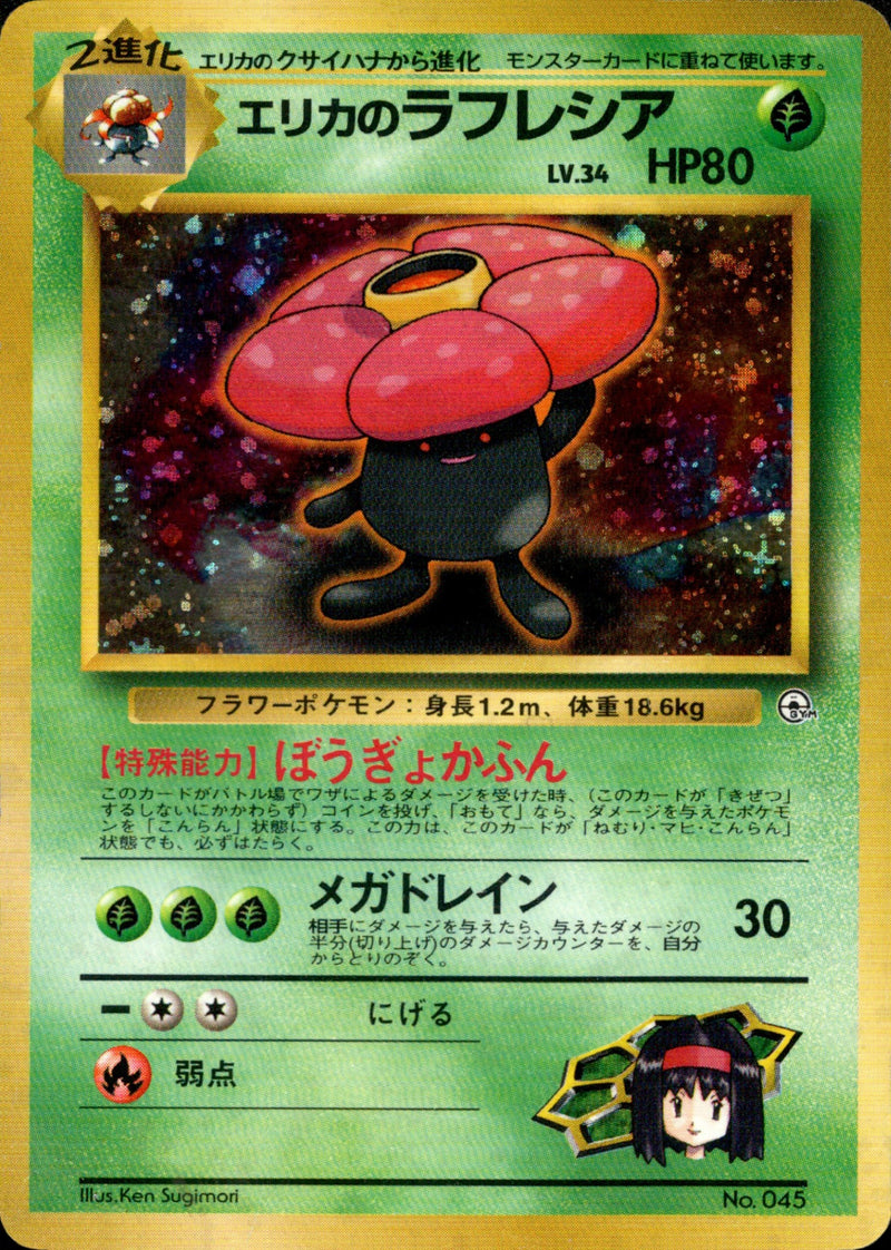 ポケカバラ売りグッズ&サポート ポケモンカード 汎用 グッズ サポート ポケモンの道具 まとめ