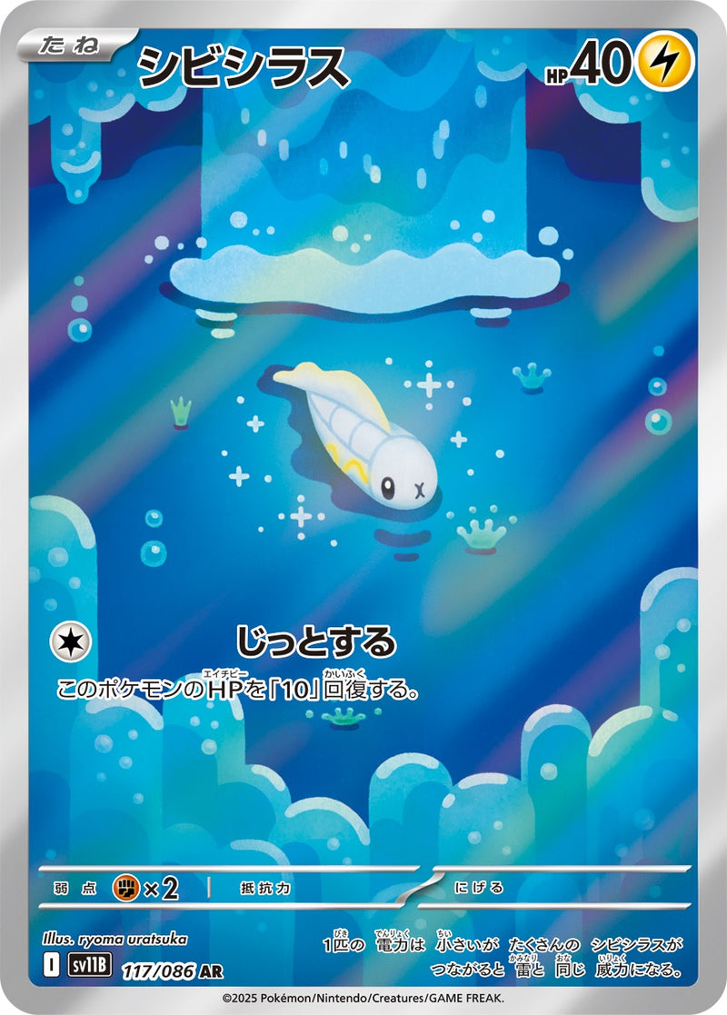 シビシラス AR SV11B 117/086