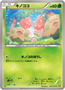 キノココ C XY5 007/070