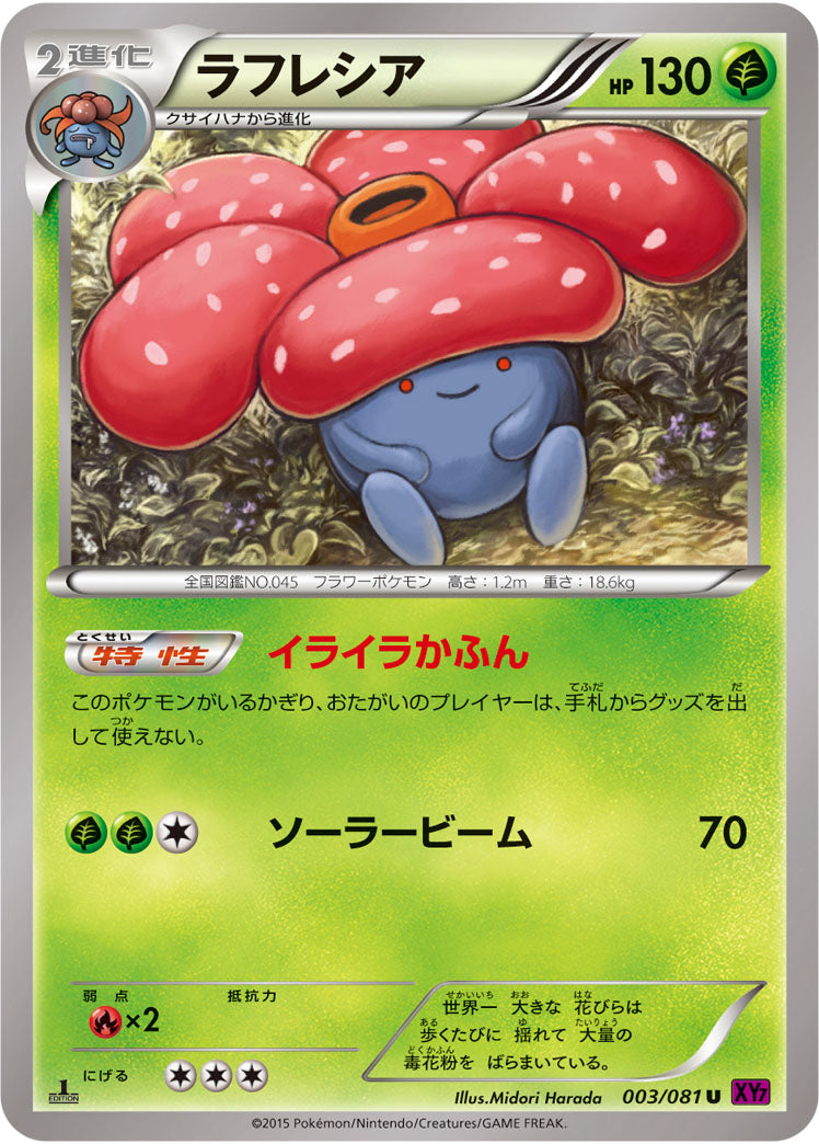 【状態C】ラフレシア U XY7 003/081