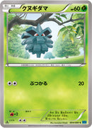 クヌギダマ C XY2 004/080