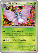 モルフォン U XY4 002/088