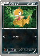 ズルッグ C BW1 034/053