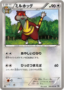 ミルホッグ C BW1 041/053