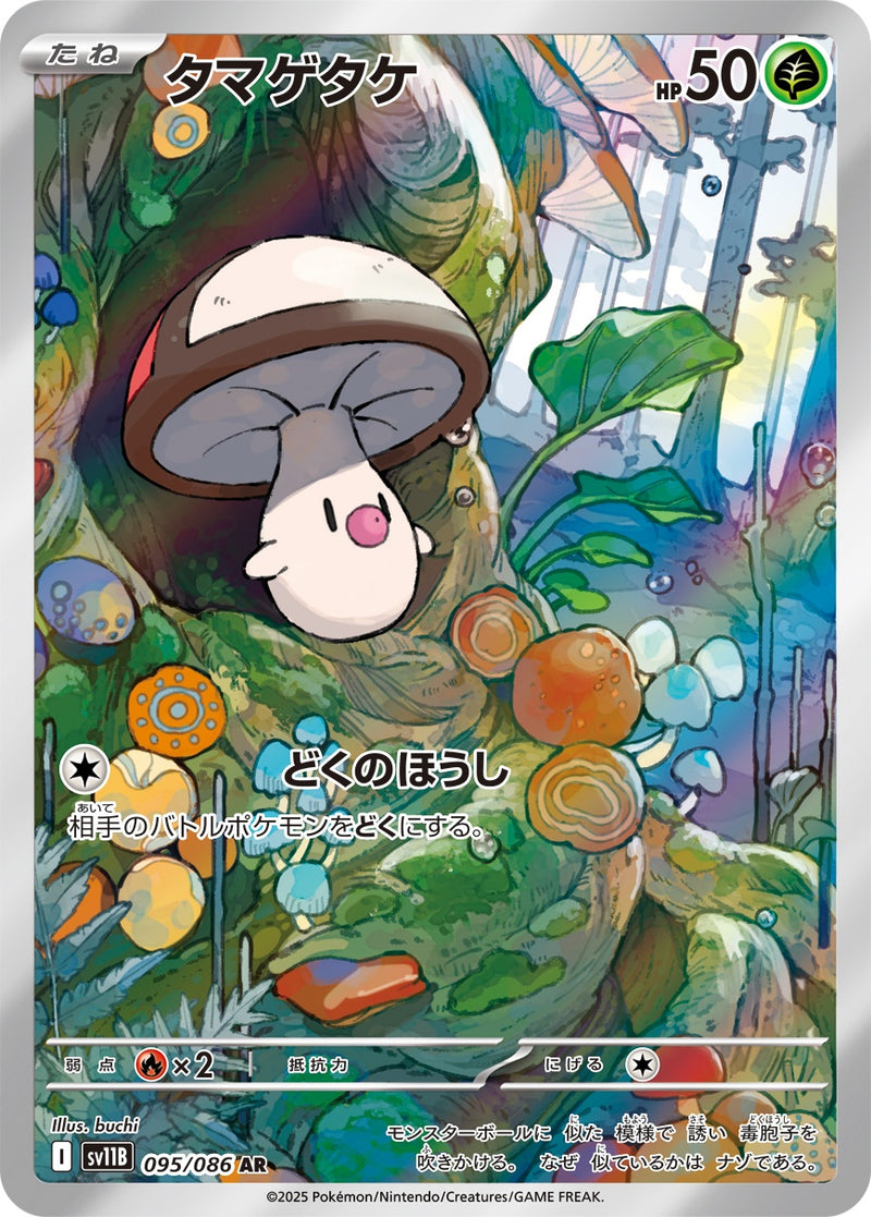 タマゲタケ AR SV11B 095/086