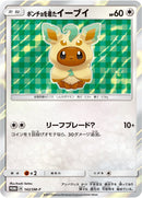 PSA10)ポンチョを着たイーブイ PROMO 142/SM-P