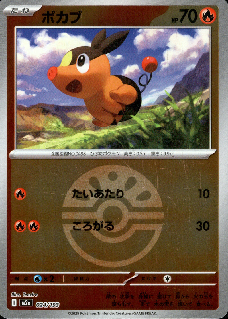 ボール)ポカブ ミラー M2a 024/193