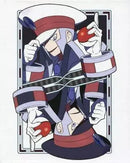 ポケモンカードゲーム コレクションファイル ノボリ・クダリ