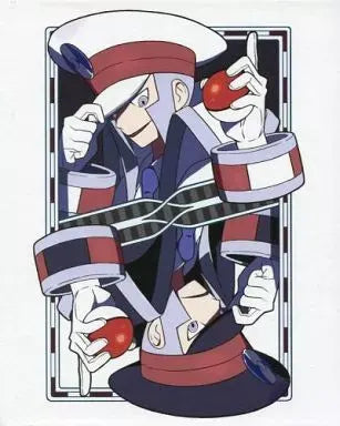 ポケモンカードゲーム コレクションファイル ノボリ・クダリ