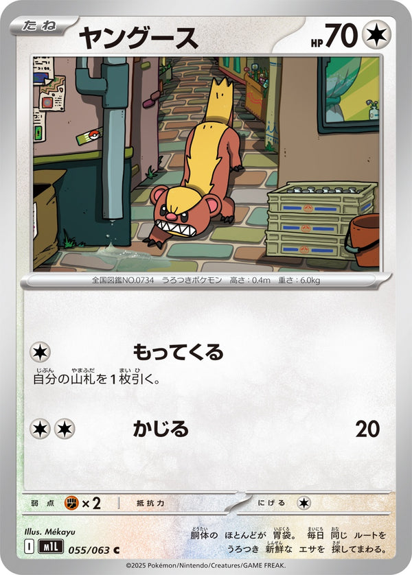 ヤングース C M1L 055/063