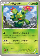 マラカッチ C XY2 010/080