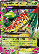 PSA9)MジュカインEX RR XY7 008/081 【1ED】