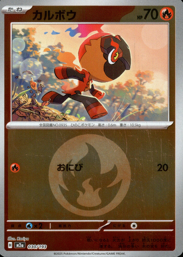 タイプ)カルボウ ミラー M2a 030/193